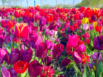 Similar image 22475827