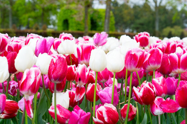 Similar image 22475831