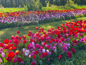 Similar image 22475840