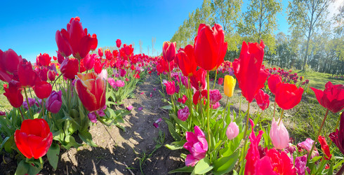 Similar image 22475843