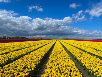 Similar image 22475871