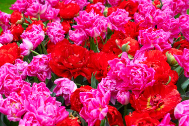 Similar image 22475880