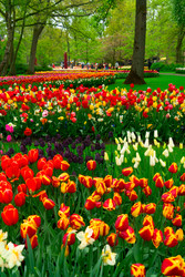 Similar image 22475881