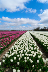 Similar image 22475882