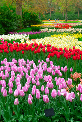 Similar image 22475883