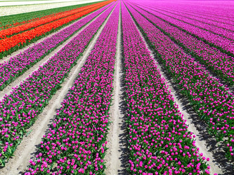 Similar image 22475884