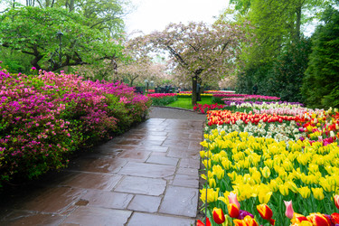 Similar image 22475885