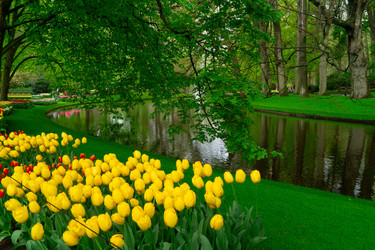 Similar image 22475886