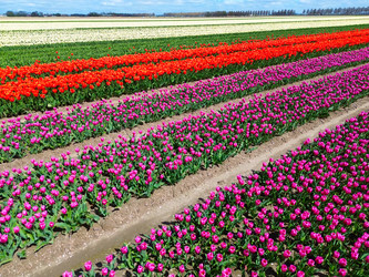 Similar image 22475888