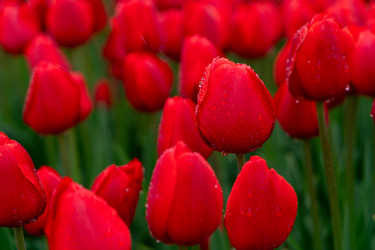 Similar image 22475890