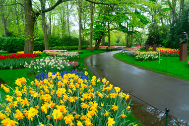 Similar image 22475891