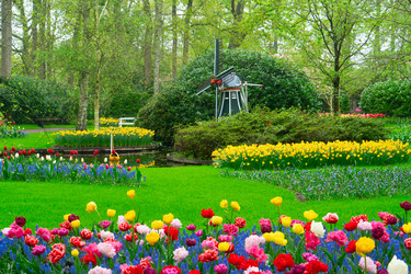 Similar image 22475892