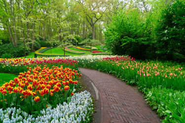 Similar image 22475893