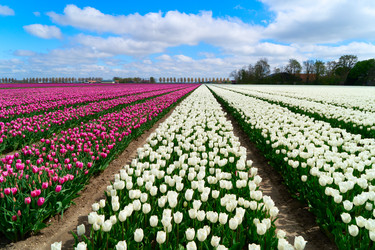 Similar image 22475894