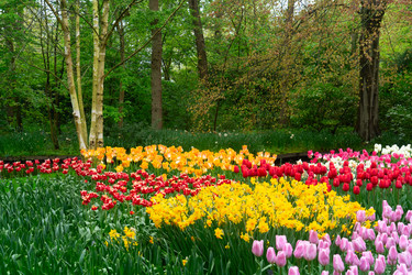 Similar image 22475898