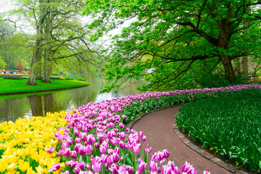 Similar image 22475900