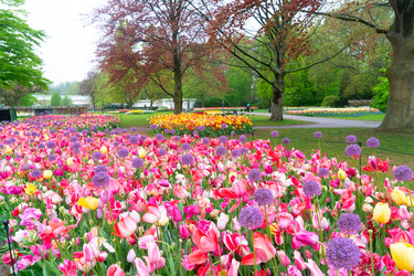 Similar image 22475902