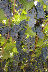 Similar image 22475464