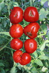 Similar image 22475465