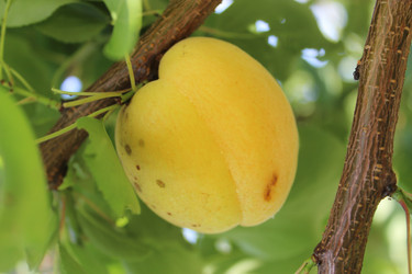 Similar image 22475476