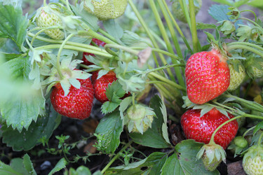 Similar image 22475477