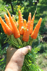 Similar image 22475479