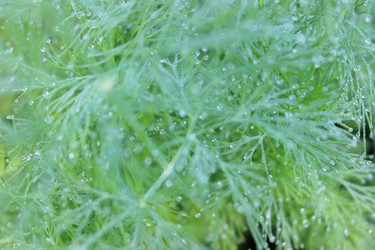 Similar image 22475503