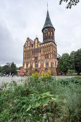 Similar image 22477060