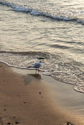 Similar image 22477083