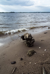 Similar image 22477110