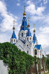 Similar image 22477072