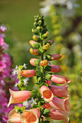 Similar image 22475377