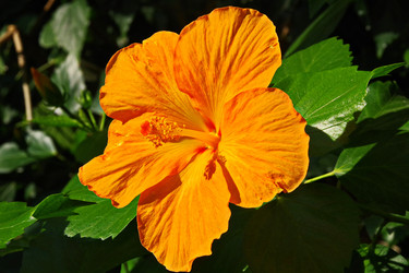 Similar image 22475258