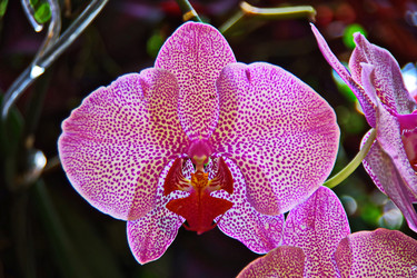 Similar image 22475259