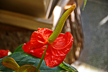 Similar image 22475260