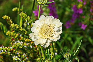 Similar image 22475378