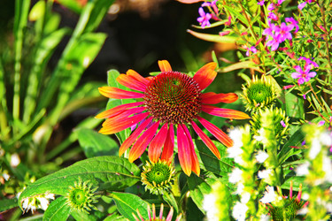 Similar image 22475379