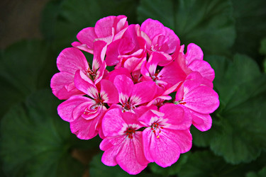 Similar image 22475380