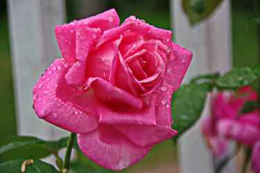 Similar image 22475261