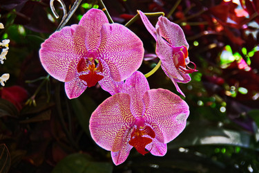 Similar image 22475279