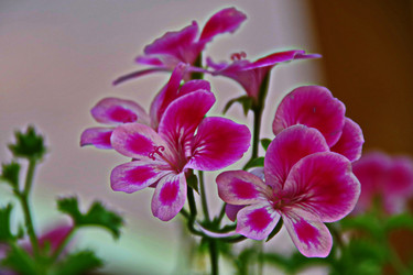 Similar image 22475280