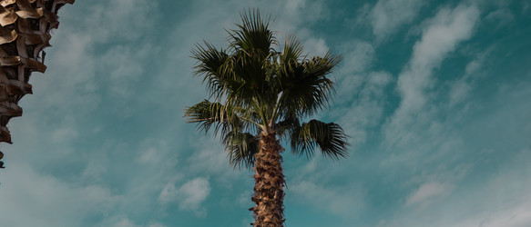 Similar image 22474850