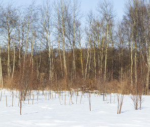 Similar image 22476393