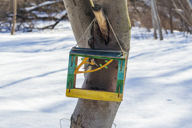 Similar image 22476396