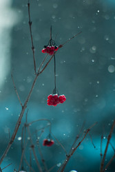 Similar image 22474851