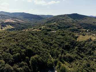 Similar image 22477145