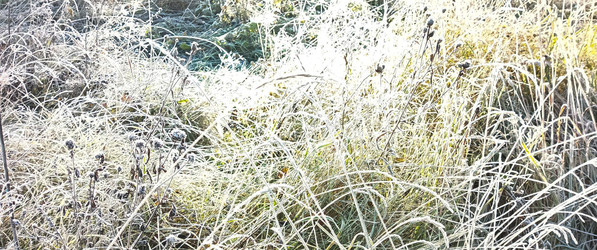 Similar image 22475613