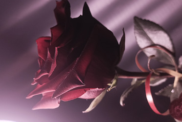 Similar image 22475614