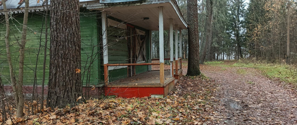 Similar image 22475616