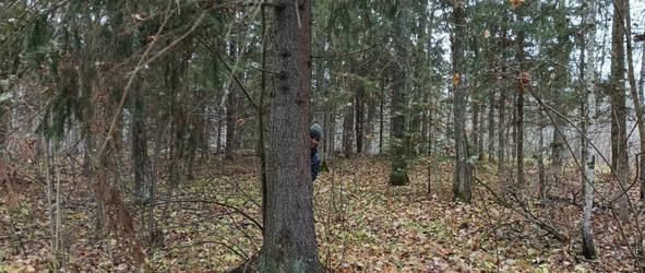 Similar image 22475622